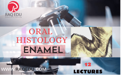 Oral histology / enamel