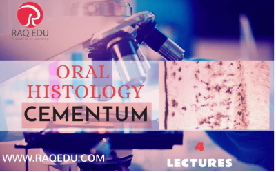 Oral histology / cementum