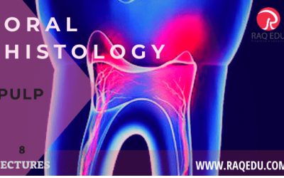 Oral histology / Pulp