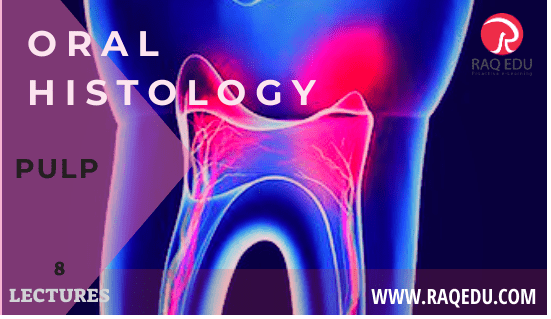 48.oral hist. pul-min