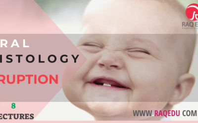 Oral histology / Eruption