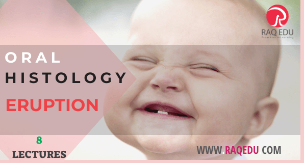 50.oral hist. eru-min