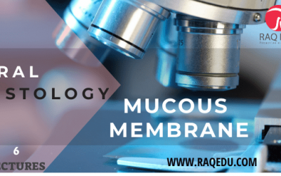 Oral histology / Mucous membrane