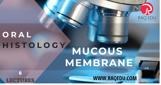 51.oral hist. muc-min