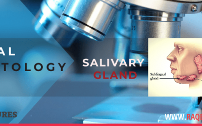 Oral histology / Salivary glands